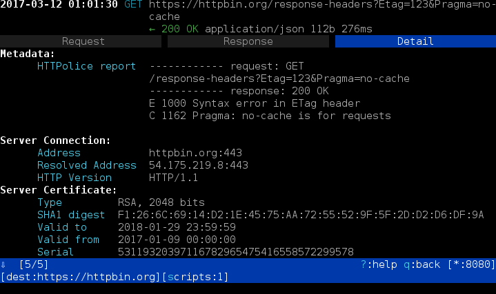 _images/mitmproxy-detail.png